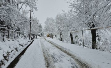 ჩხოროწყუში ძლიერი თოვლის გამო ექვს სოფელს ელექტროენერგია არ მიეწოდება