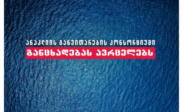 მთავრობის გეგმას წარმატება არ უწერია - ანაკლიის განვითარების კონსორციუმი