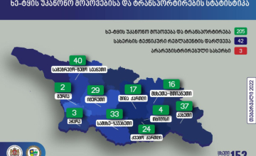 სამეგრელოში ხე-ტყის უკანონო მოპოვების 40 ფაქტი გამოავლინეს