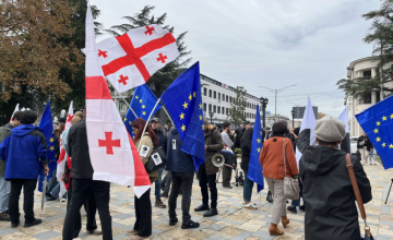 ყაველაშვილის მიერ ინაუგურაციის დღეს ხელმოწერილი კანონების ნაწილი დღეიდან ამოქმედდა