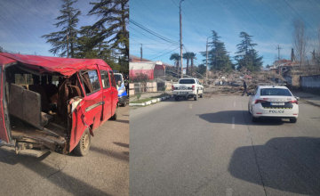 სენაკში ხე მიკროავტობუსს დაეცა - დაშავებულია სამი ადამიანი