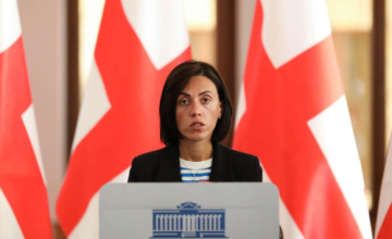  სააკაშვილის პარტიის ხელში ჩაგდება არავის გამოუვა - ანა წითლიძე