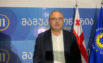 ჩვენი ხმები წავიდა გახარიასთან - მამუკა წოწერია 