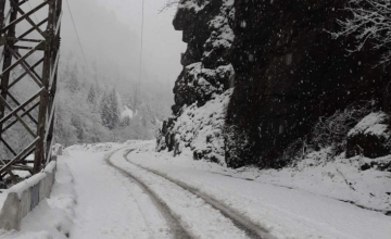 ზუგდიდი-ჯვარი-მესტია-ლასდილის გზის მონაკვეთზე დაწესებული შეზღუდვები მოიხსნა