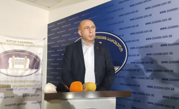 ბესიკ ჭეჟია ბიუჯეტის მიღებაზე - ეს იყო პოლიტიკური გადაწყვეტილება