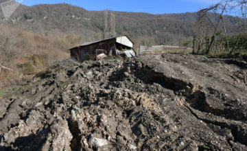 მეწყერმა ტყვარჩელის სოფელ პირველ ბედიაში სახლები და გზა დააზიანა