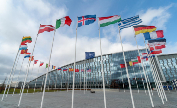 NATO აფხაზეთში ჩატარებული არჩევნების ლეგიტიმურობას არ აღიარებს - კოლომინა