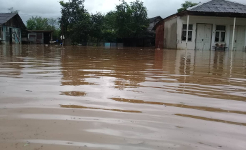 ძველ სენაკში კიდევ ერთი უბანი დაიტბორა