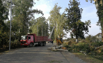კერძო საკუთრებაში არსებული ტექნიკა მერიის სამსახურში 