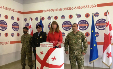 სანდრა რულოვსი: ქართული ჯარი არის დარტყმის ქვეშ (ვიდეო)