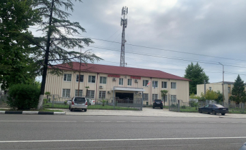 სამართალდამცავებმა ხობში 4 სპორტსმენი დააკავეს