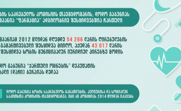 ხობის საკრებულოს წევრის კომპანია გამარტივებულ შესყიდვებს იღებს - TI