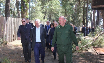 სოხუმი: ბიჭვინთა - მიუსერის ნაკრძალი შესაძლოა განადგურდეს