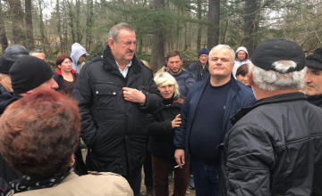 მარტვილში მოსახლეობა ხეების ჭრას აპროტესტებს (ვიდეო)